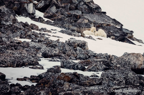 OTL05-22, Day 3 _Q9A3865 © Juan Martin Berenstein - Oceanwide Expeditions.jpg