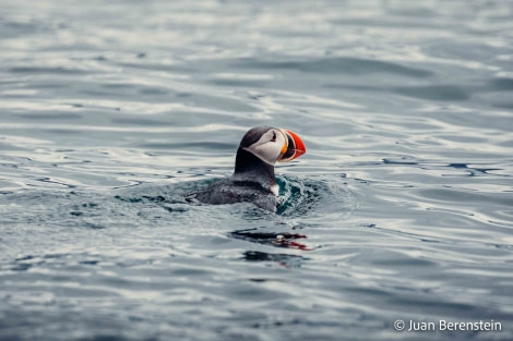 OTL05-22, Day 3 _Q9A3976 © Juan Martin Berenstein - Oceanwide Expeditions.jpg