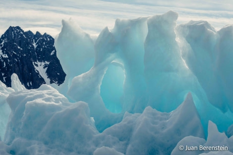 OTL05-22, Day 5 _Q9A4121 © Juan Martin Berenstein - Oceanwide Expeditions.jpg