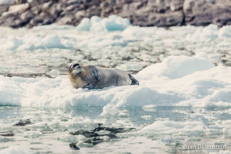 OTL05-22, Day 5 _Q9A4173 © Juan Martin Berenstein - Oceanwide Expeditions.jpg