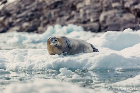 OTL05-22, Day 5 _Q9A4214 © Juan Martin Berenstein - Oceanwide Expeditions.jpg