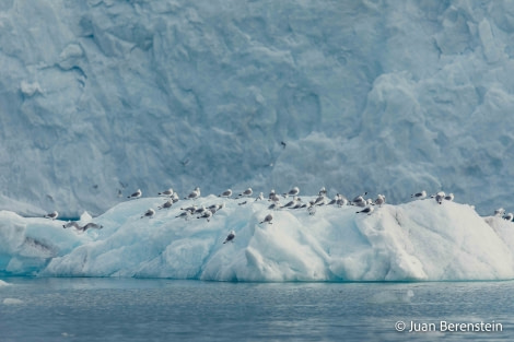 OTL05-22, Day 5 _Q9A4295 © Juan Martin Berenstein - Oceanwide Expeditions.jpg