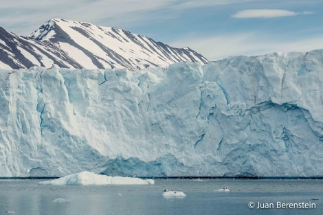 OTL05-22, Day 5 _Q9A4308 © Juan Martin Berenstein - Oceanwide Expeditions.jpg