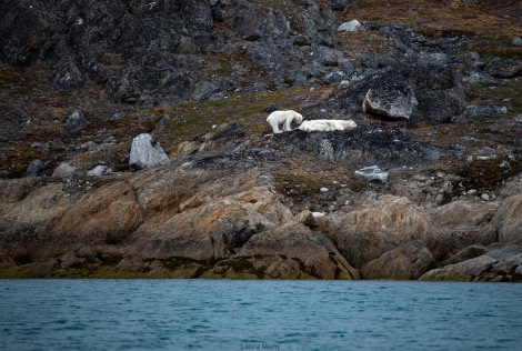 HDS05-22, Day 4, Fuglefjorden © Laura Mony - Oceanwide Expeditions.jpg
