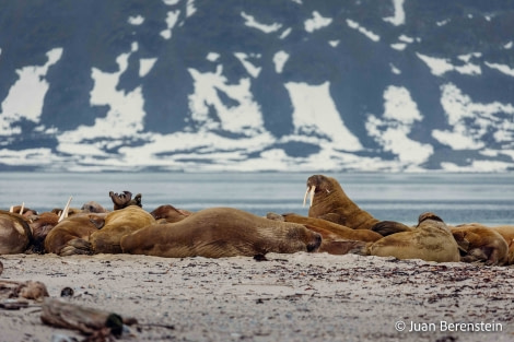 OTL06-22, Day 3, _Q9A5457 © Juan Martin Berenstein - Oceanwide Expeditions.jpg