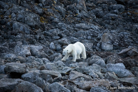 OTL06-22, Day 3, _Q9A5623 © Juan Martin Berenstein - Oceanwide Expeditions.jpg