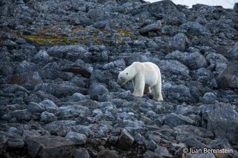 OTL06-22, Day 3, _Q9A5629 © Juan Martin Berenstein - Oceanwide Expeditions.jpg