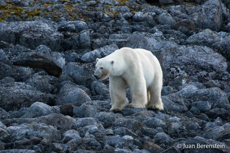 OTL06-22, Day 3, _Q9A5632 © Juan Martin Berenstein - Oceanwide Expeditions.jpg