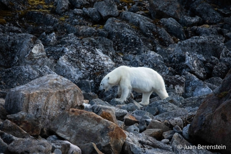 OTL06-22, Day 3, _Q9A5648 © Juan Martin Berenstein - Oceanwide Expeditions.jpg