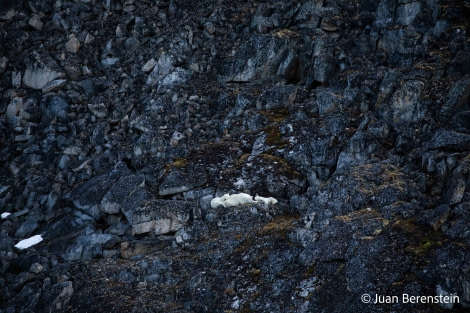 OTL06-22, Day 3, _Q9A5757 © Juan Martin Berenstein - Oceanwide Expeditions.jpg