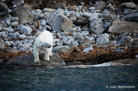 OTL06-22, Day 3, _Q9A5813 © Juan Martin Berenstein - Oceanwide Expeditions.jpg