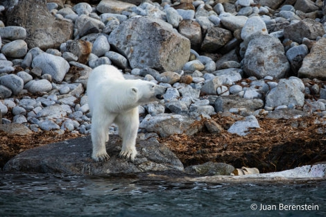 OTL06-22, Day 3, _Q9A5823 © Juan Martin Berenstein - Oceanwide Expeditions.jpg