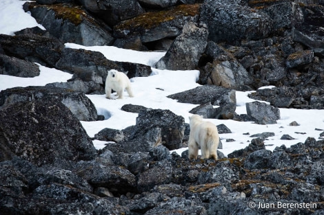 OTL06-22, Day 3, _Q9A5893 © Juan Martin Berenstein - Oceanwide Expeditions.jpg