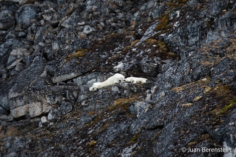 OTL06-22, Day 3, _Q9A5921 © Juan Martin Berenstein - Oceanwide Expeditions.jpg