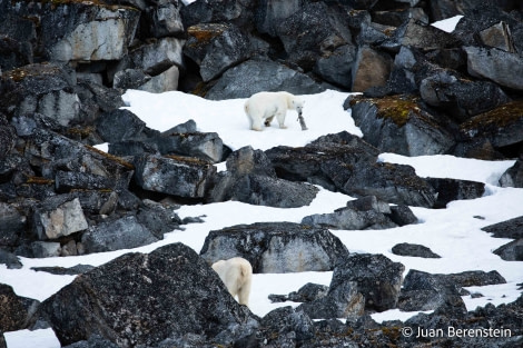 OTL06-22, Day 3, _Q9A5912 © Juan Martin Berenstein - Oceanwide Expeditions.jpg