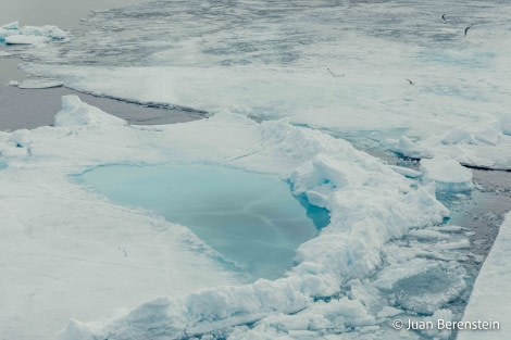 OTL06-22, Day 4, _Q9A5933 © Juan Martin Berenstein - Oceanwide Expeditions.jpg