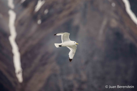 OTL06-22, Day 6, _Q9A6081 © Juan Martin Berenstein - Oceanwide Expeditions.jpg