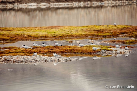 OTL06-22, Day 6, _Q9A6089 © Juan Martin Berenstein - Oceanwide Expeditions.jpg