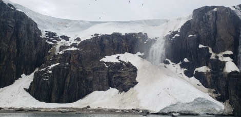 PLA06-22, Day 4, Palanderbukta © Unknown Photographer - Oceanwide Expeditions 2.jpg