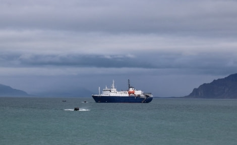 OTL07-22, Day 9, Landing at Recherchefjorden © Unknown Photographer - Oceanwide Expeditions.jpg