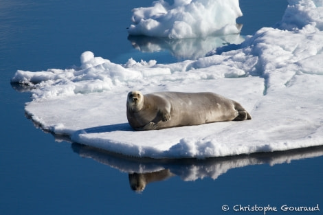 OTL07-22 _MG_9144 © Christophe Gouraud - Oceanwide Expeditions.JPG