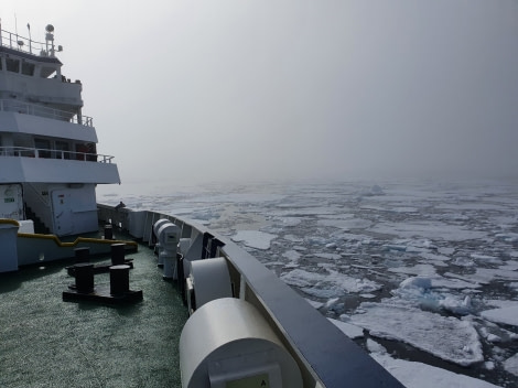 PLA07-22, Day 3, Plancius cruising the pack ice © Unknown Photographer - Oceanwide Expeditions.jpg