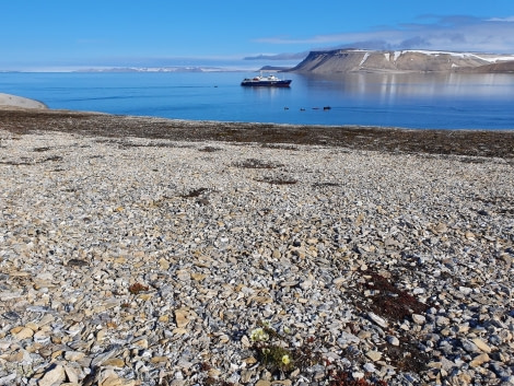 PLA07-22, Day 5, Palanderbukta landing © Unknown Photographer - Oceanwide Expeditions.jpg