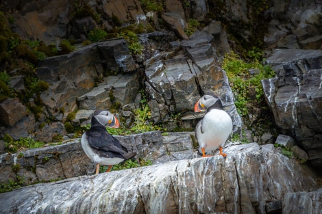 OTL09-22, 14July Breen_WKR59156_WernerKruse © Werner Kruse - Oceanwide Expeditions.jpg