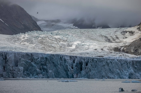 OTL09-22, Burgerbukta_WKR59971_WernerKruse © Werner Kruse - Oceanwide Expeditions.jpg