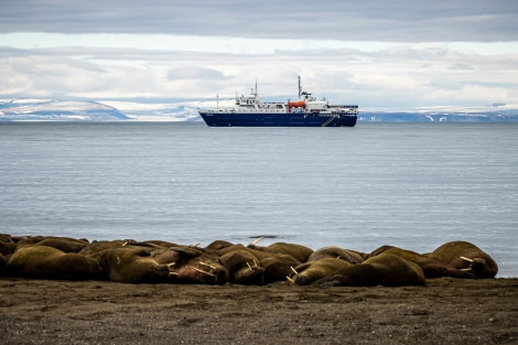 OTL09-22, Kapp Lee_WKR59693_WernerKruse © Werner Kruse - Oceanwide Expeditions.jpg