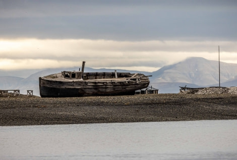 OTL09-22, Skansbukta_WKR59985_WernerKruse © Werner Kruse - Oceanwide Expeditions.jpg