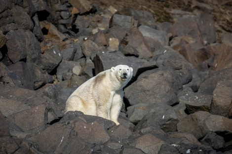 OTL09-22, Sundneset_WKR59874_WernerKruse © Werner Kruse - Oceanwide Expeditions.jpg