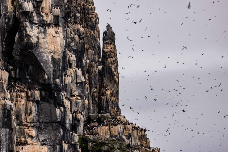 OTL10-22, Day 6, Alkefjellet_WKR50636_WernerKruse © Werner Kruse - Oceanwide Expeditions.jpg