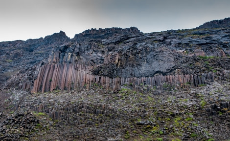 HDS10X22, Day 9, Vikingebugt (2) © Laura Mony - Oceanwide Expeditions.jpg