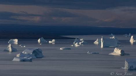 HDS10X22, Day 10, Sydkap 15 © Sara Jenner - Oceanwide Expeditions.jpg