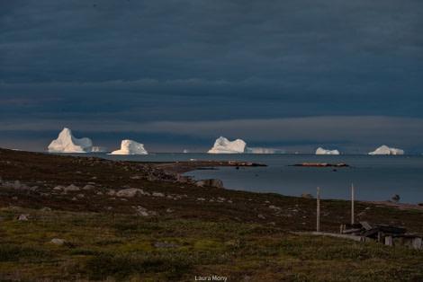 HDS10X22, Day 10, Sydkap (11) © Laura Mony - Oceanwide Expeditions.jpg