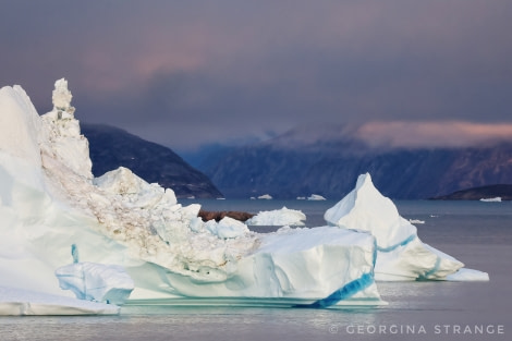 HDS10X22, Day 10, 5A8A6447-DeNoiseAI-clear-01 © Georgina Strange - Oceanwide Expeditions.jpeg