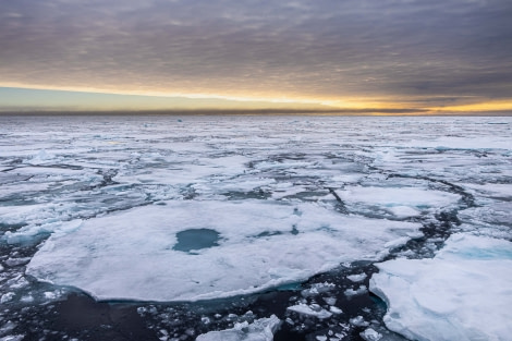 OTL11-22, Day 5, Pack Ice_IMG_5205 © Werner Kruse - Oceanwide Expeditions.jpg