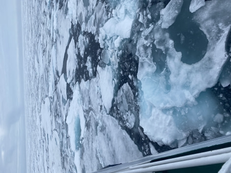 OTL11-22, Day 5, Sea ice - 1 © Miriam Vermeij - Oceanwide Expeditions.JPG