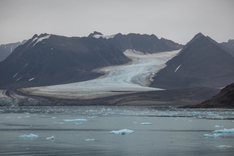 OTL11-22, Day 2, Lilliehookbreen_WKR51039 © Werner Kruse - Oceanwide Expeditions.jpg