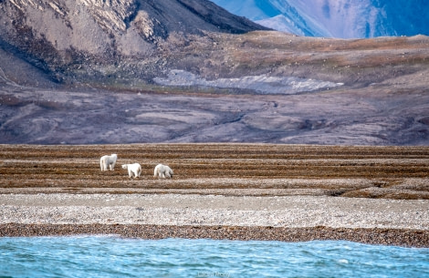 HDS11X22, Day 4, Faksevagen (2) © Laura Mony - Oceanwide Expeditions.jpg