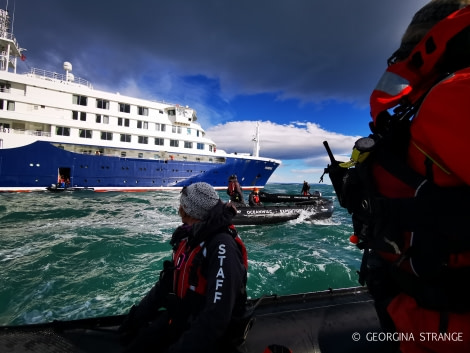 HDS11X22, Day 4, IMG_20220819_143946 © Georgina Strange - Oceanwide Expeditions.jpg