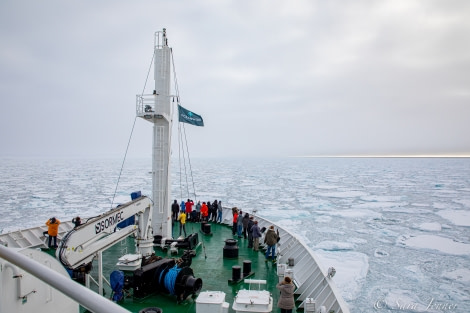 HDS11X22, Day 5, Pack ice © Sara Jenner - Oceanwide Expeditions.jpg