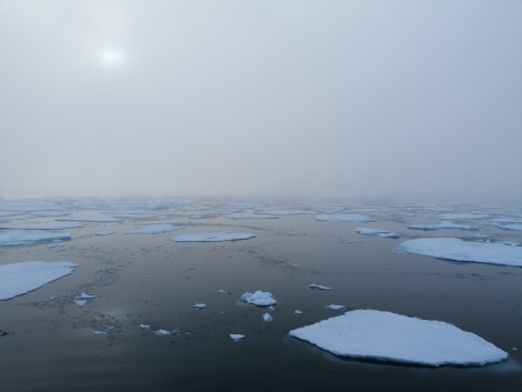 OTL13-22, Day 3, day 3_in the ice_01 © Unknown Photographer - Oceanwide Expeditions.jpg