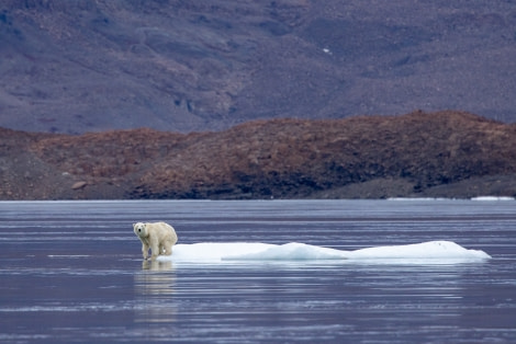 HDS14-22, 20220918_Arjen_Drost_0122 © Arjen Drost, Natureview - Oceanwide Expeditions.jpg