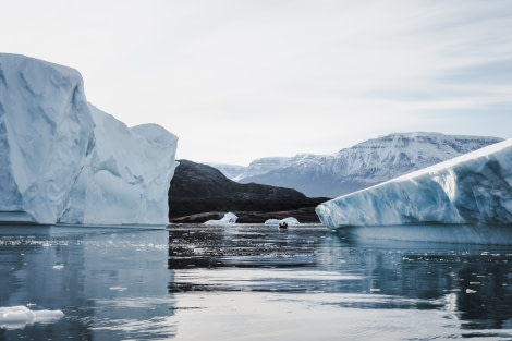 HDS14-22, HDS 14 editted-50 © Unknown Photographer - Oceanwide Expeditions.jpg