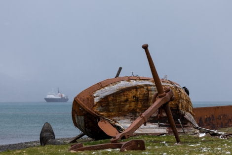 OTL21-22, Day 7, Gryviken 14 © Sara Jenner - Oceanwide Expeditions.jpg