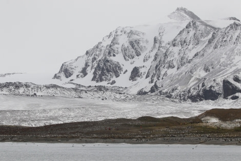 OTL21-22, Day 10, StAndrewsBay (4) © Regis Perdriat - Oceanwide Expeditions.jpg