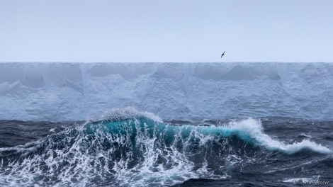 OTL21-22, Day 13, Iceberg 1 © Sara Jenner - Oceanwide Expeditions.jpg