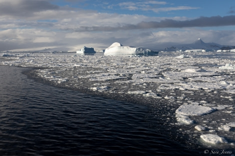 OTL21-22, Day 16, Antarctic Sound 4 © Sara Jenner - Oceanwide Expeditions.jpg